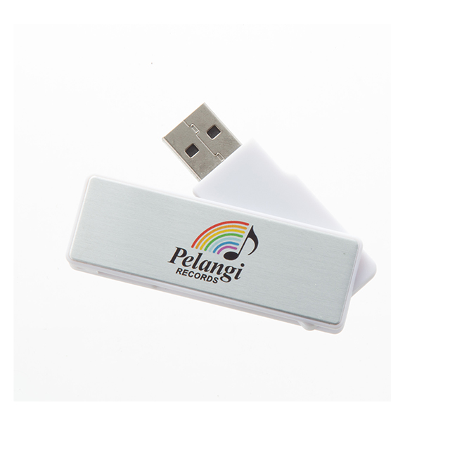  Flash Drives-U653